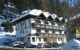 Hotel Piz Arina  3*